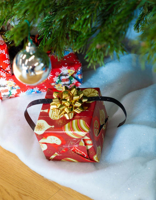 The History of Popular Christmas Gifts for Daughters - Ever Trendy Essentials