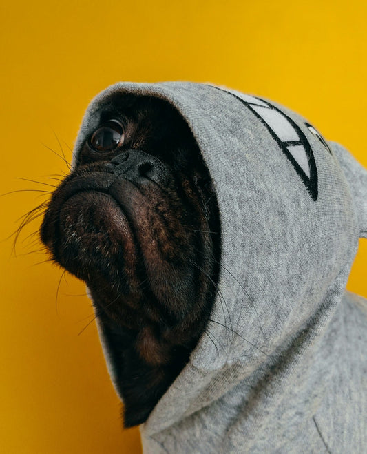 Cozy Hoodie Care Hacks for Maintaining Your Ultimate Loungewear - Ever Trendy Essentials