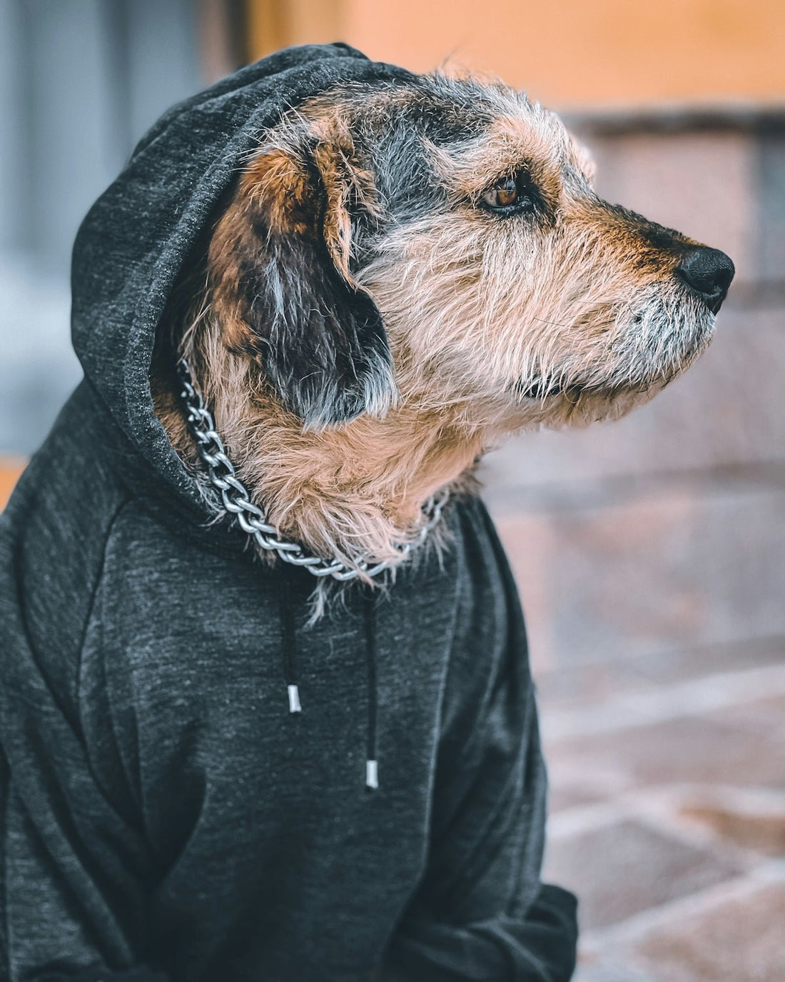 How to Become a Pro in Cozy Hoodie Care and Good Upkeep Practices - Ever Trendy Essentials